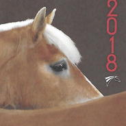 Licences 2018