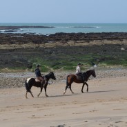 Le littoral vendéen