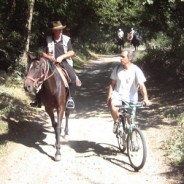 La courtoisie à cheval.