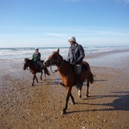 Forêt d’Olonne