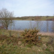 Barrage de la Vouraie