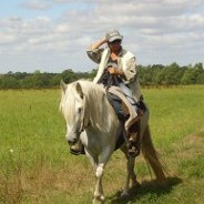 Un cheval Camargue pour vos randos !