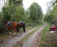 Itinéraire du Bocage :Tallud Ste Gemme – St Aubin des Ormeaux