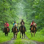 La Vendée se visite aussi à cheval