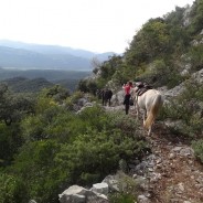 Le sentier Cathare 2014