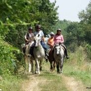 Prochainement, dans la revue « Randonner à cheval »