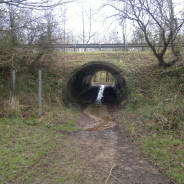 Rando le 10 Avril Aubigny Les Clouzeaux 85430