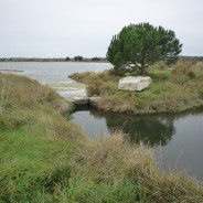 Randonnée à POIRE SUR VELLUIRE 85770