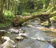 Randonnée Le Champ St Père 85540