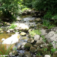 Randonnée le 25 septembre , Chaillé sous les Ormeaux (Rives de l’Yon)85310