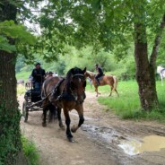 Randonnée le dimanche 18 Mai sur Aubigny Les Clouzeaux 85200 parc de loisirs La Tournerie