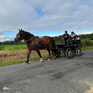 Rando dimanche 20 juillet à Venansault 85190 Départ de la Nicolière Coordonnées 46.683374, -1.572150