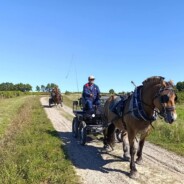 Randonnée Equestre le 7 septembre Route du Booth (Mortevielle) La Couture 85320
