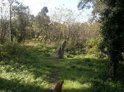 Sentier du Menhir