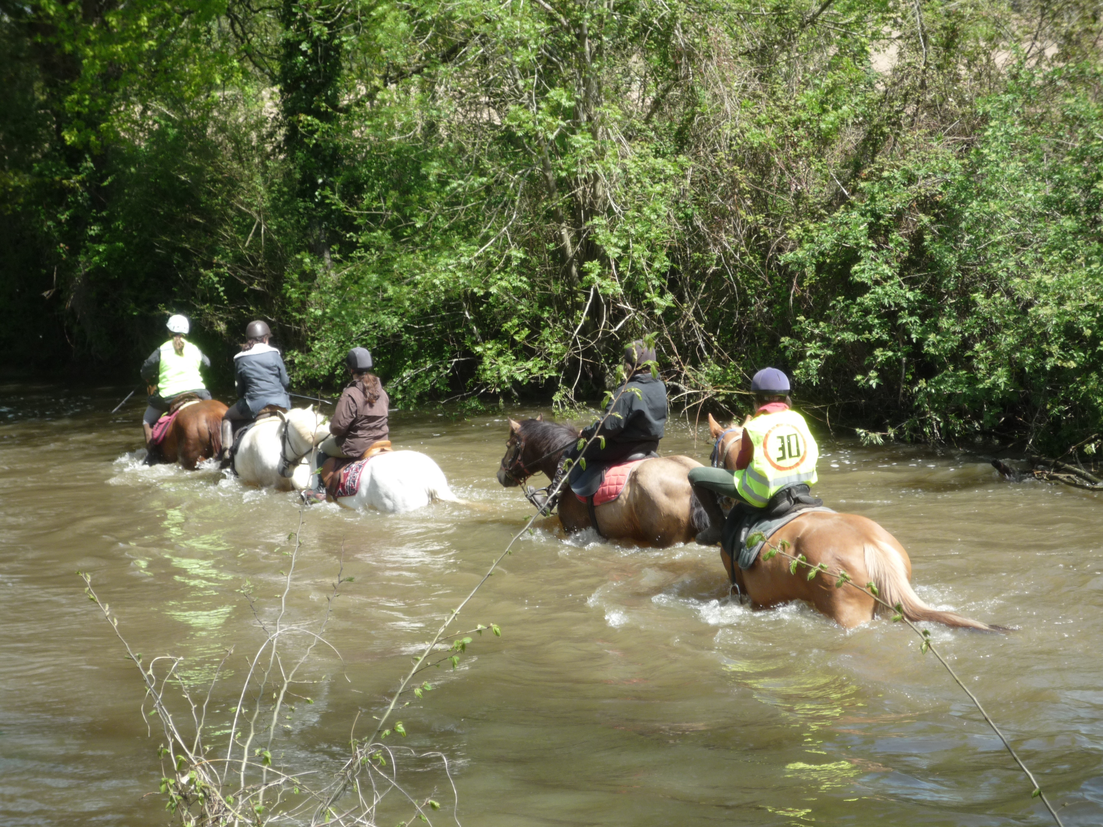 rando cheval centre vendée