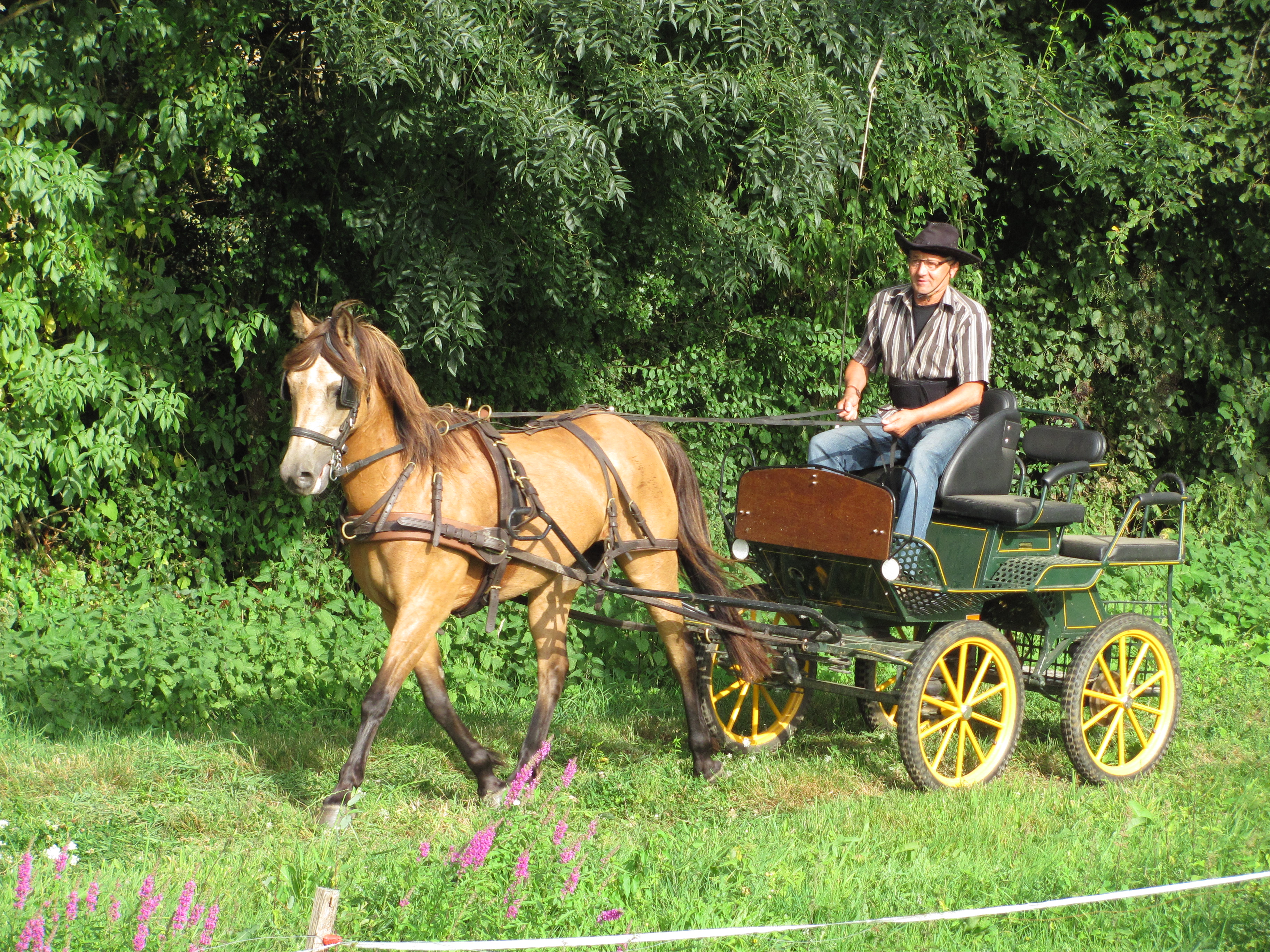 randonnée equestre haut bocage vendée