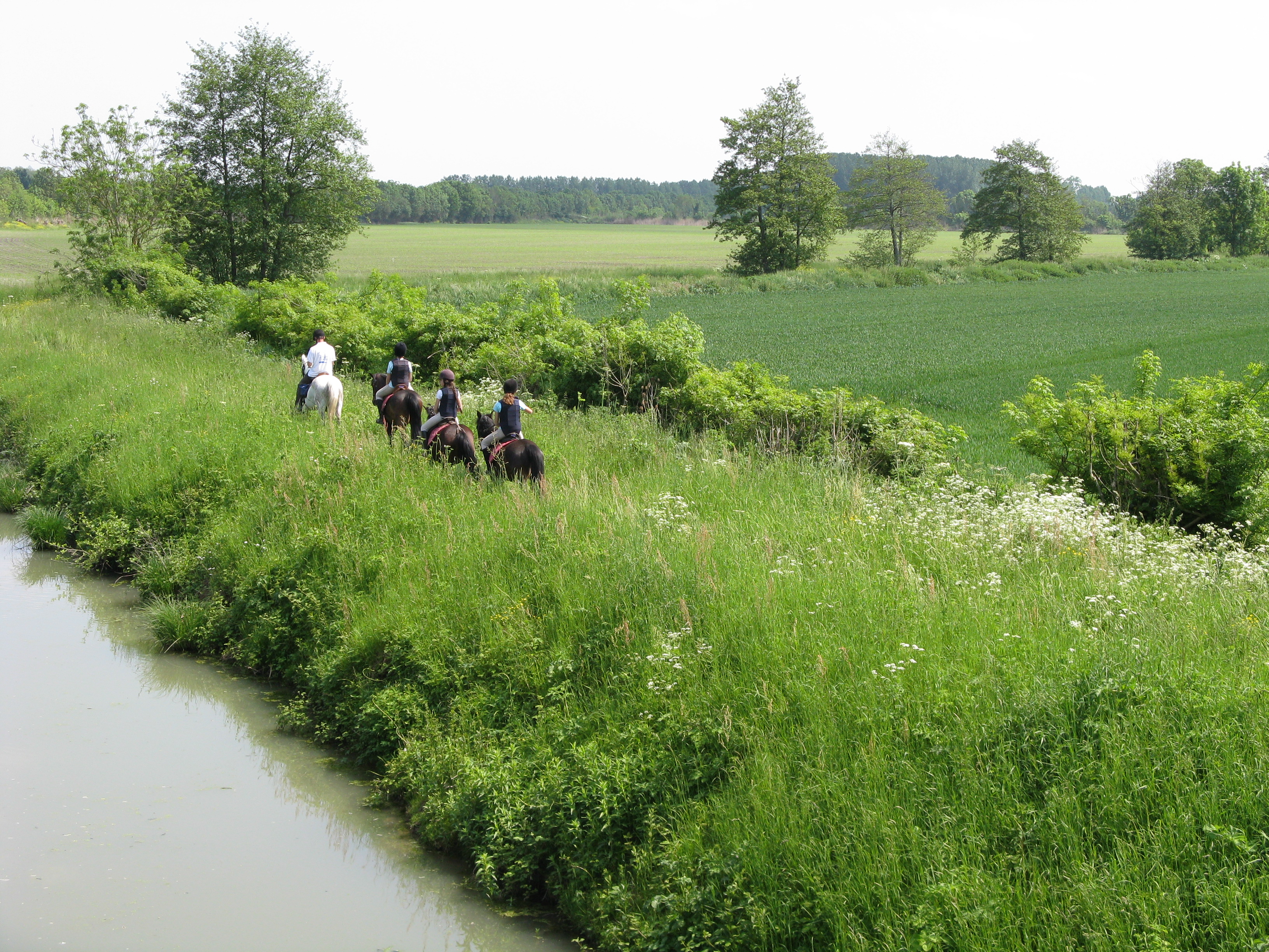 Les bords du canal de l'autize