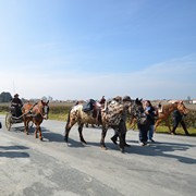 Randonnée de Pâques à St Fulgent le 1er avril 2013