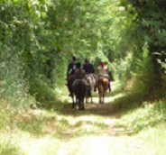 Itinéraire du Bocage : Tallud Ste Gemme – Gralas