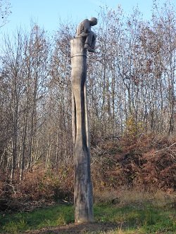 Une partie de l'arbre remarquable au dessus du Douard
