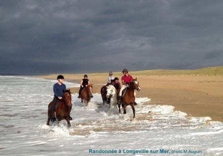 Randonnee  Longeville sur mer