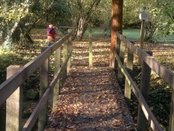 Passerelle de la Chevronnière NE PAS EMPRUNTER