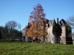 Château de la Bultière